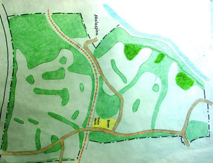 Green Infrastructure Map