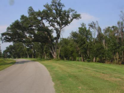 Stablewood Park and Street