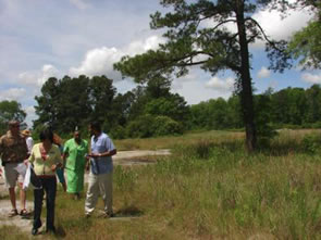 Walking the site